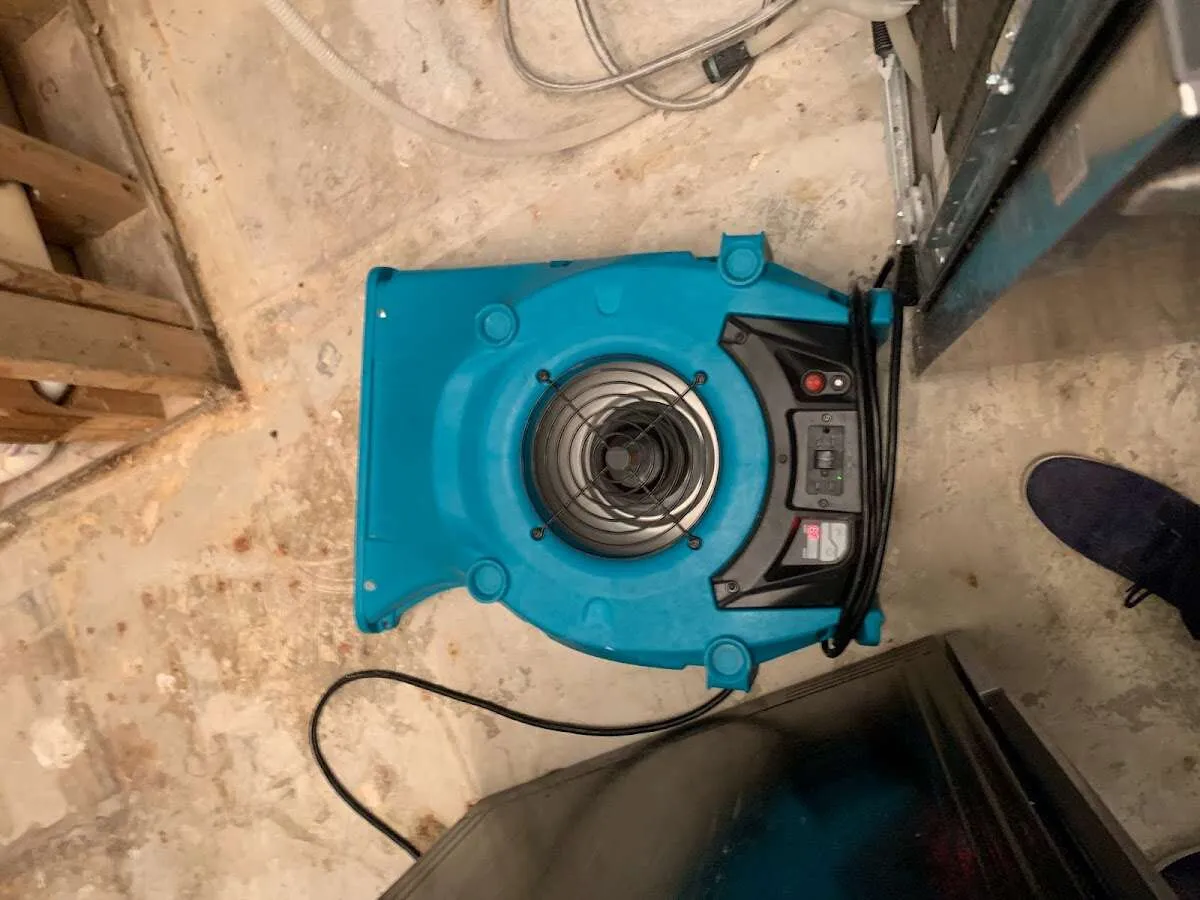 Air mover drying equipment for Mold Remediation & Removal in Pasadena