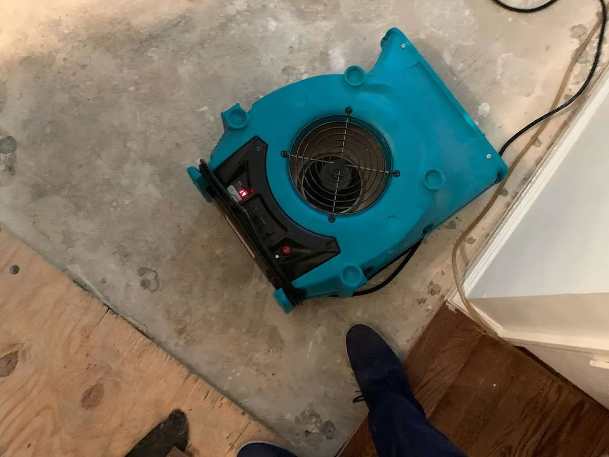 Air mover drying subfloor during Commercial Water Damage Restoration in Pasadena